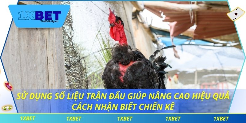 Sử dụng số liệu trận đấu giúp nâng cao hiệu quả cách nhận biết chiến kê